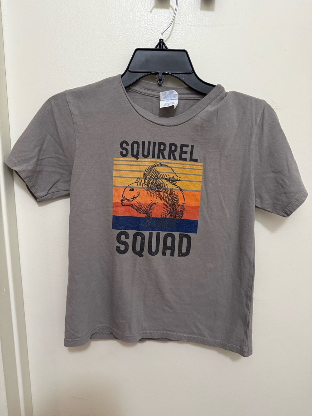 Port and Company Gray "Squirrel Squad" Graphic Tee with Retro Stripes